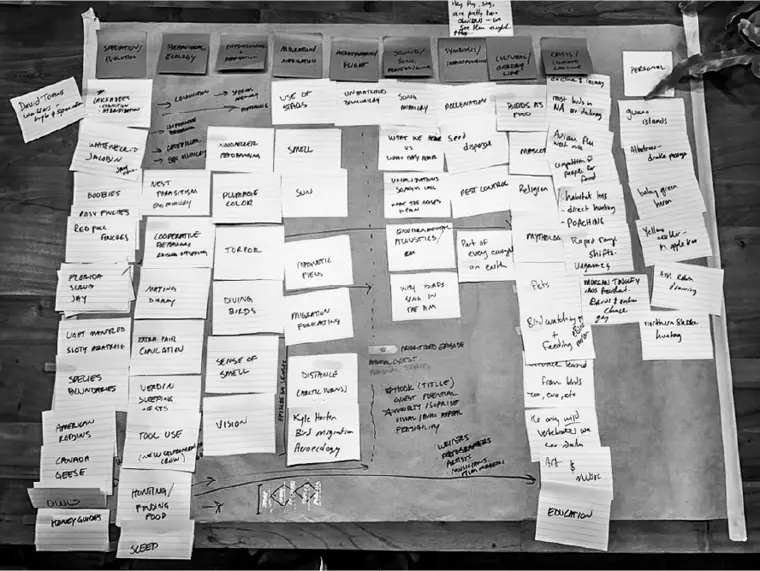 Sticky notes of episode ideas on a sheet of brown paper, sorted under topic headings.